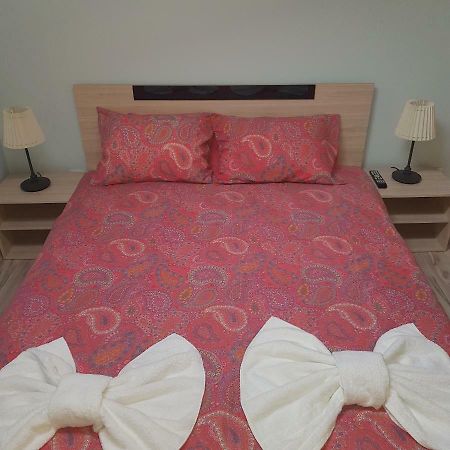 Guest House Ileana サパレヴァ・バニャ エクステリア 写真