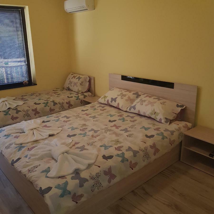 Guest House Ileana サパレヴァ・バニャ エクステリア 写真