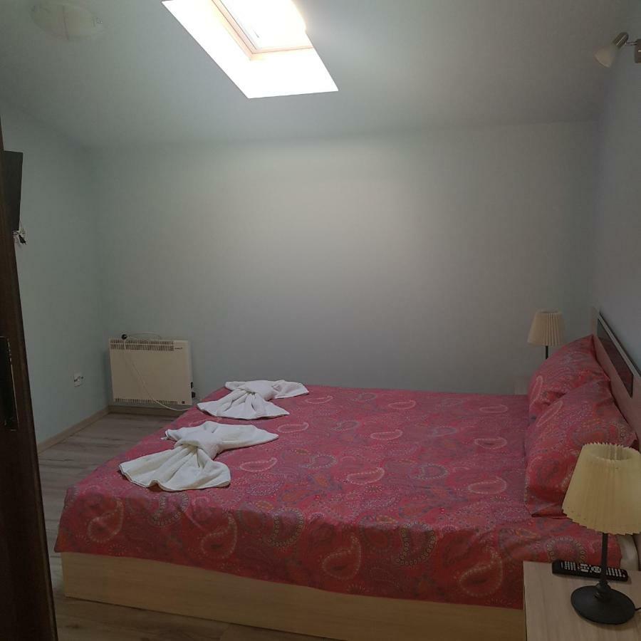Guest House Ileana サパレヴァ・バニャ エクステリア 写真