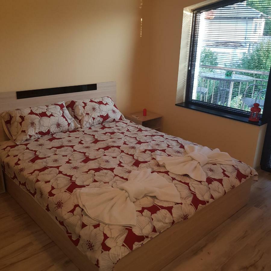 Guest House Ileana サパレヴァ・バニャ エクステリア 写真