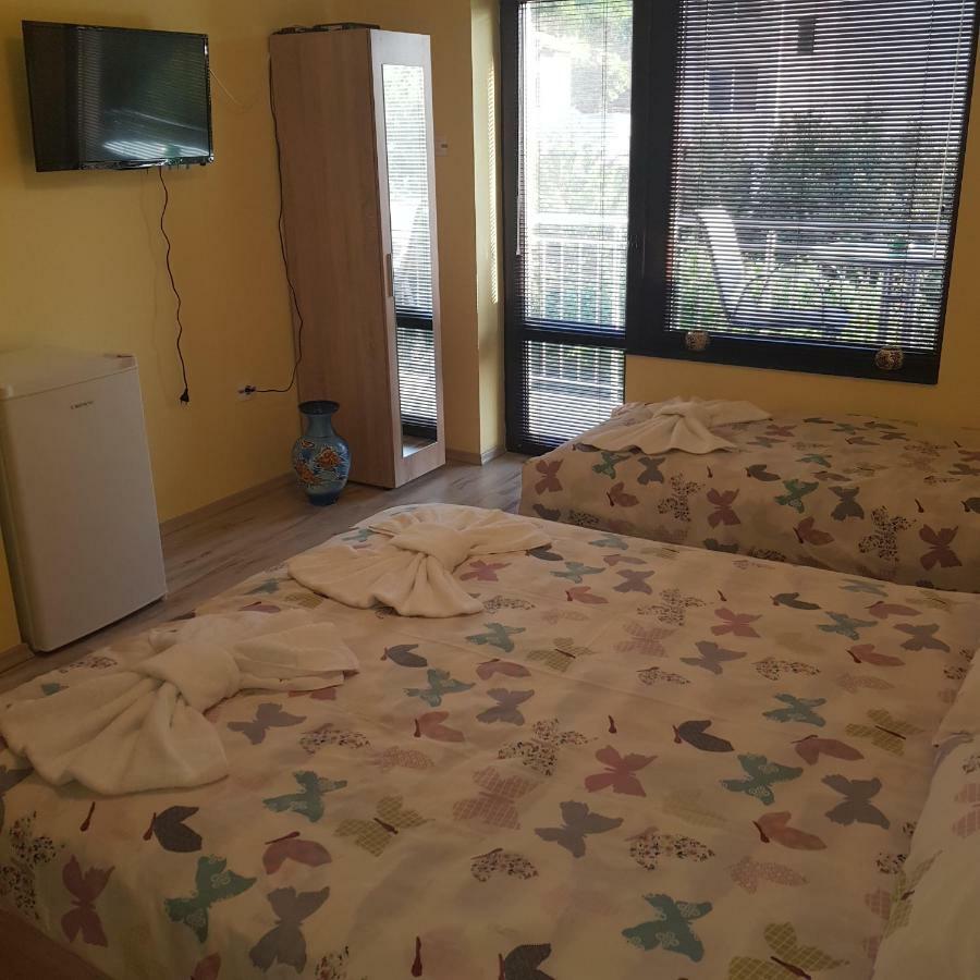 Guest House Ileana サパレヴァ・バニャ エクステリア 写真
