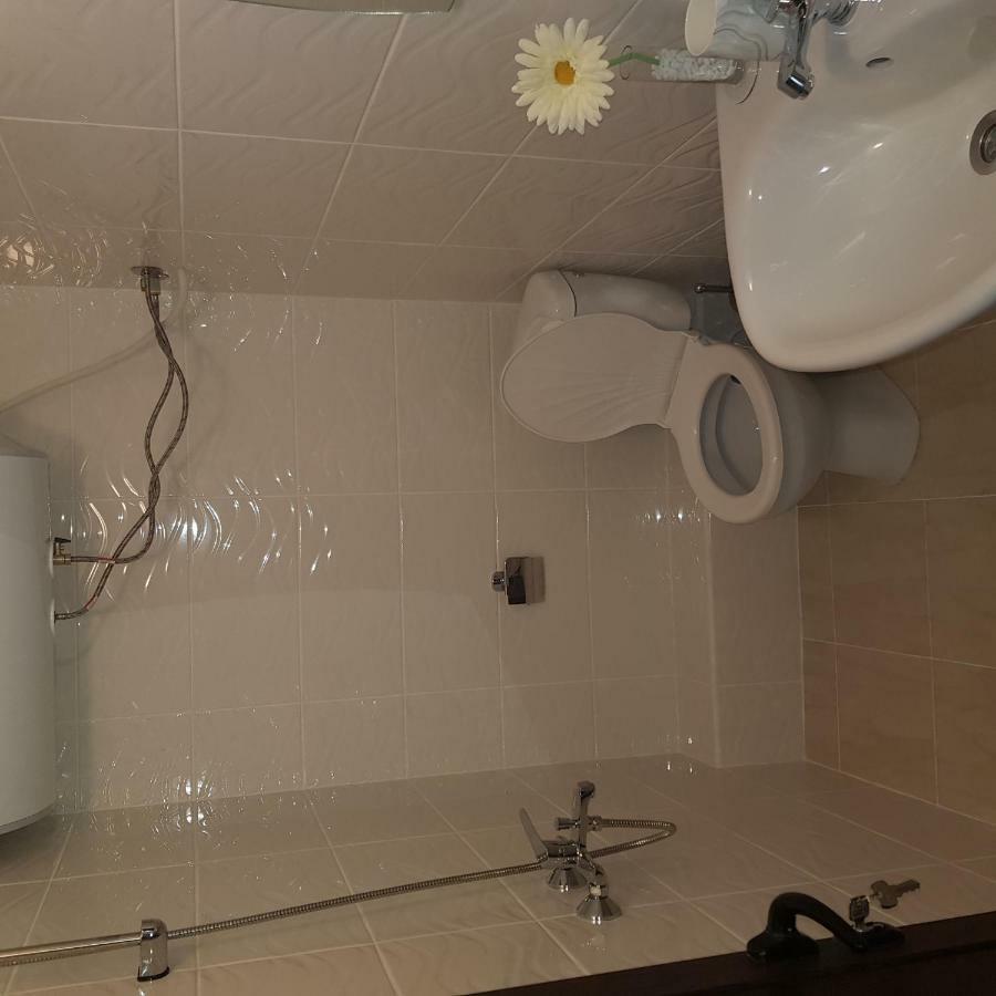 Guest House Ileana サパレヴァ・バニャ エクステリア 写真
