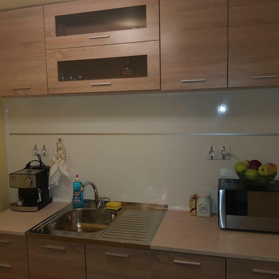 Guest House Ileana サパレヴァ・バニャ エクステリア 写真